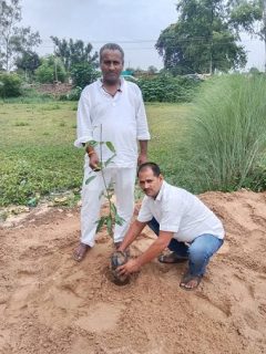 समाजसेवियों द्वारा किया पौधारोपण