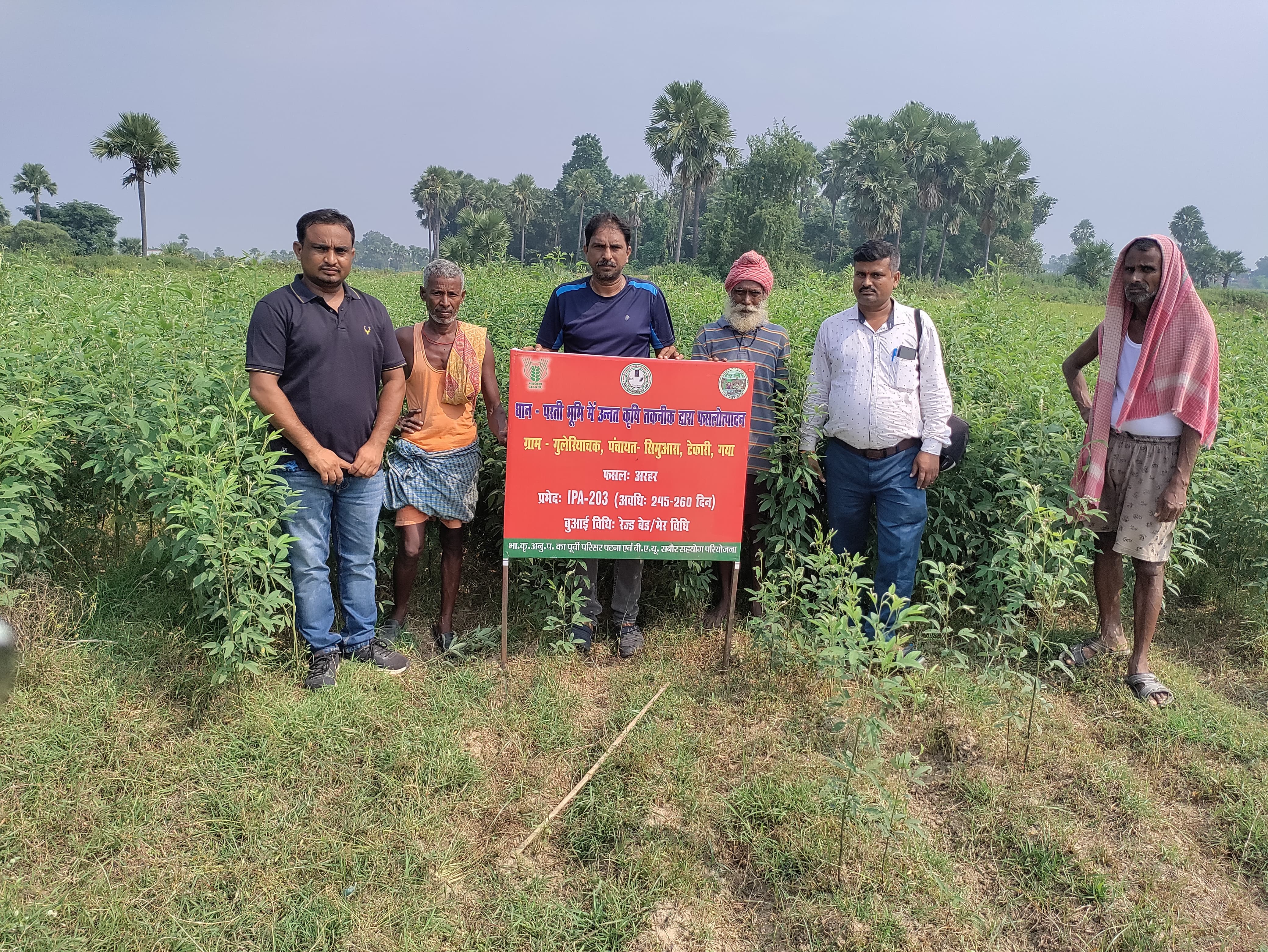 उन्नत कृषि तकनीक द्वारा धान परती भूमि प्रबंधन