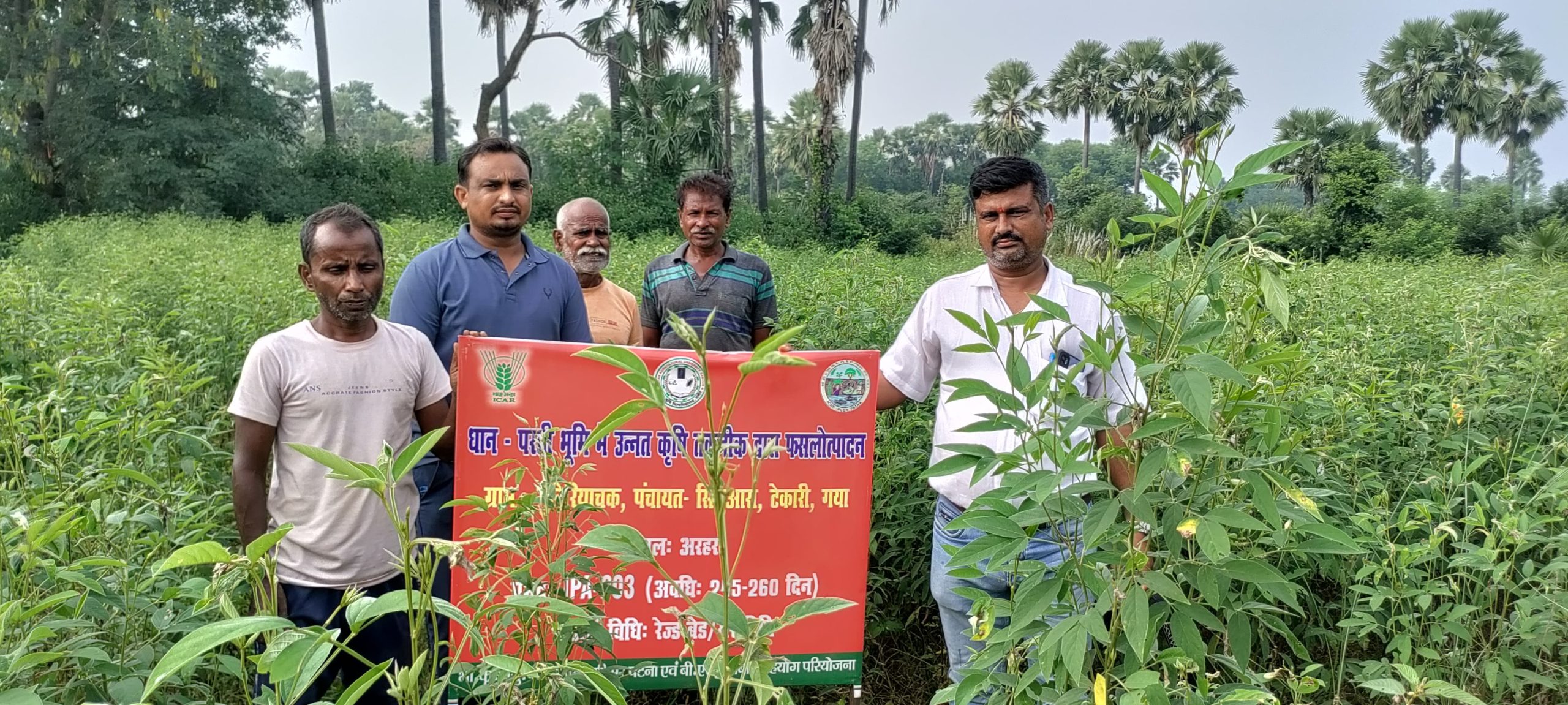 उन्नत कृषि तकनीक द्वारा धान-परती भूमि प्रबंधन