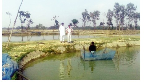 कार्प मछली पालन की सफलता के लिए वैज्ञानिक तालाब प्रबंधन जरूरी: रंजू कुमारी
