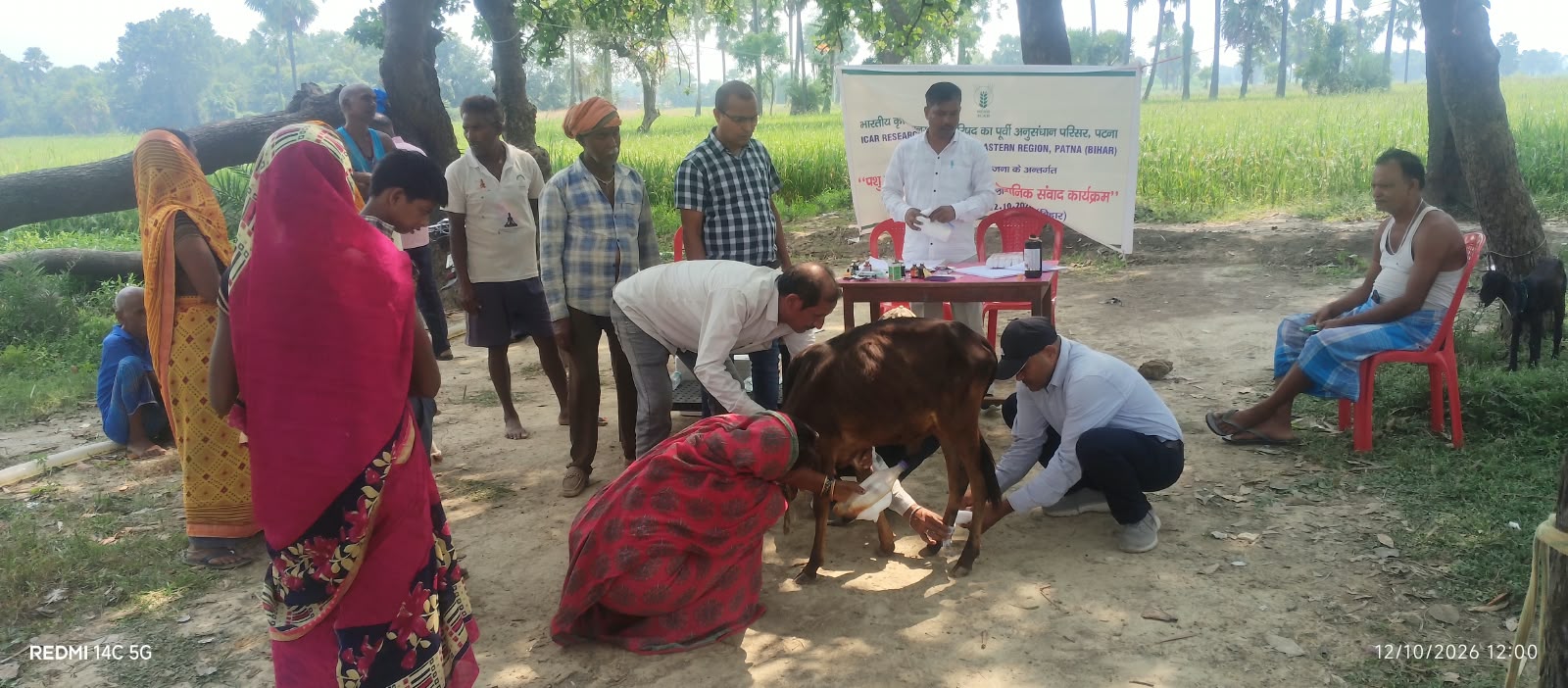 गया के गजाधरपुर में पशु स्वास्थ्य शिविर, 110 किसानों को मिला लाभ