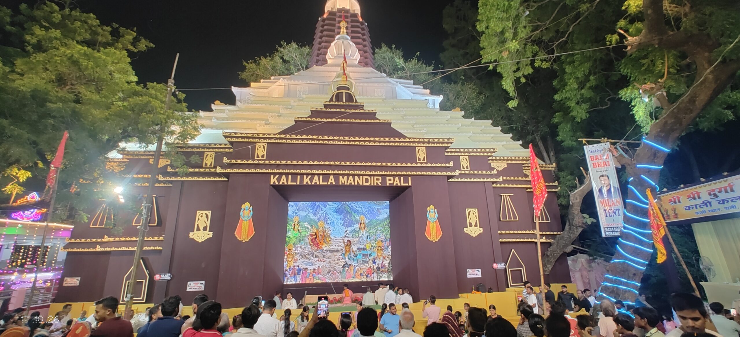 सोन तटीय मंदिर में नीम के पेड़ में दिखती देवी की पूरी देहाकृति